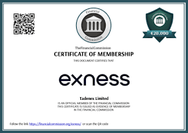 Unlock Your Trading Potential with Exness Demo