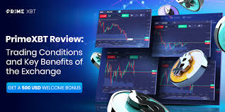 Mastering Margin Trading on PrimeXBT Strategies and Insights