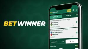 BetWinner Betting Platform Your Gateway to Top Sports Betting