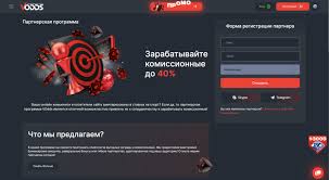Ставки на скачки в букмекерських конторах Поглиблений огляд