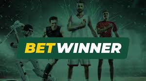 BetWinner Online Casino A Comprehensive Review of Games and Bonuses