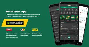 Betwinner Your Ultimate Betting Experience 1972588706