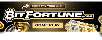 Bitfortune Live Casino Crypto Wallet Experience a New Era of Gaming