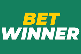 Understanding BetWinner's KYC Policy