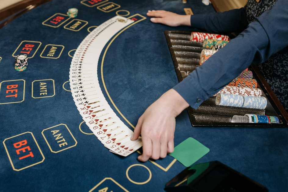 Winner casino